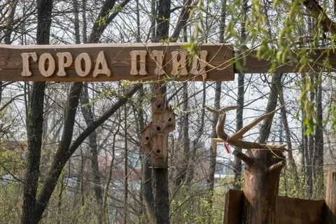 Город птиц