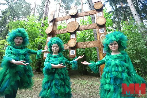 Царство желтоголового королька