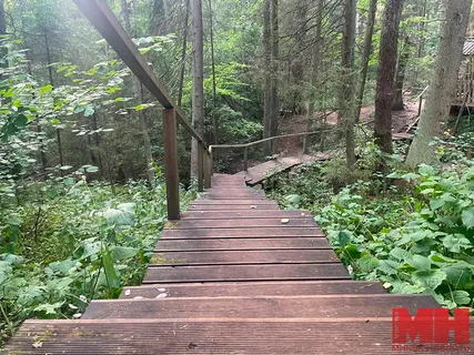 Цна