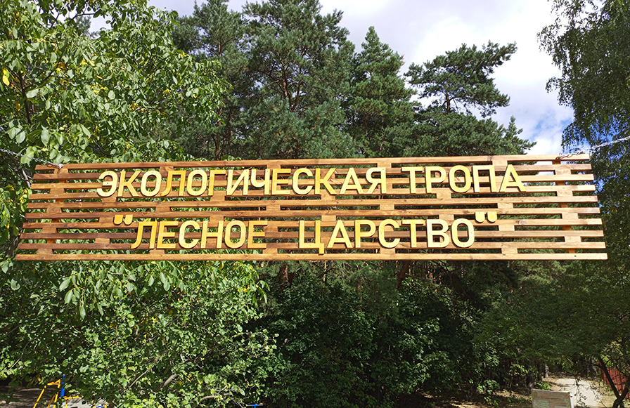Лесное царство